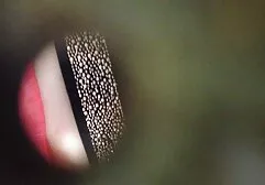 Gebonden homo masochist krijgt dikke kont dildo meisje heeft sex met paard