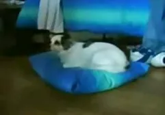 Casting mature neemt sperma twee vrouwen neuken een man in de vagina